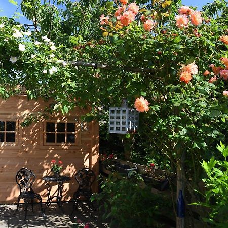 Wadden Eiland Bed En Breakfast Op Texel Oudeschild Ngoại thất bức ảnh