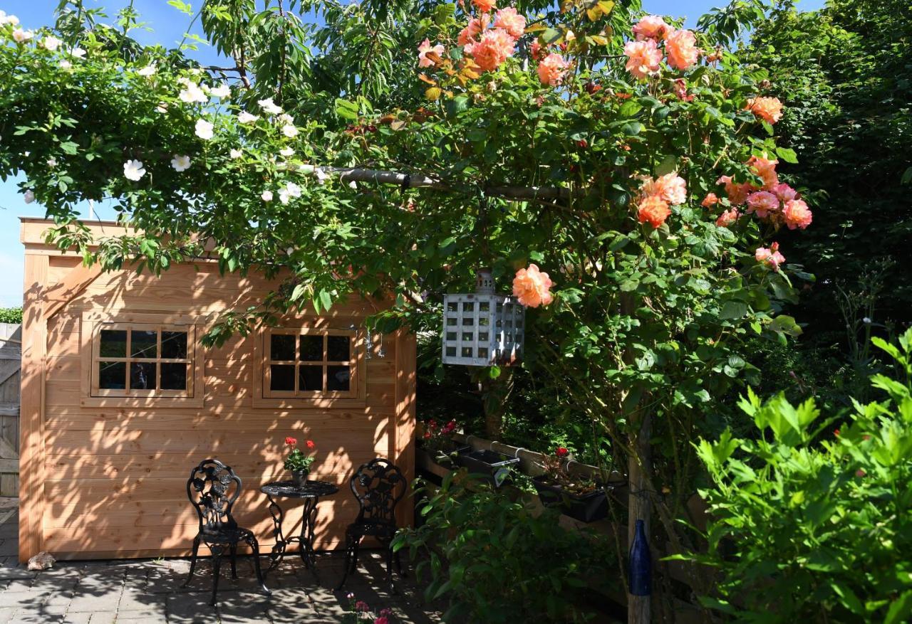 Wadden Eiland Bed En Breakfast Op Texel Oudeschild Ngoại thất bức ảnh