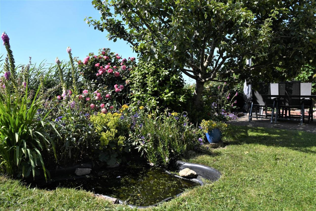 Wadden Eiland Bed En Breakfast Op Texel Oudeschild Ngoại thất bức ảnh