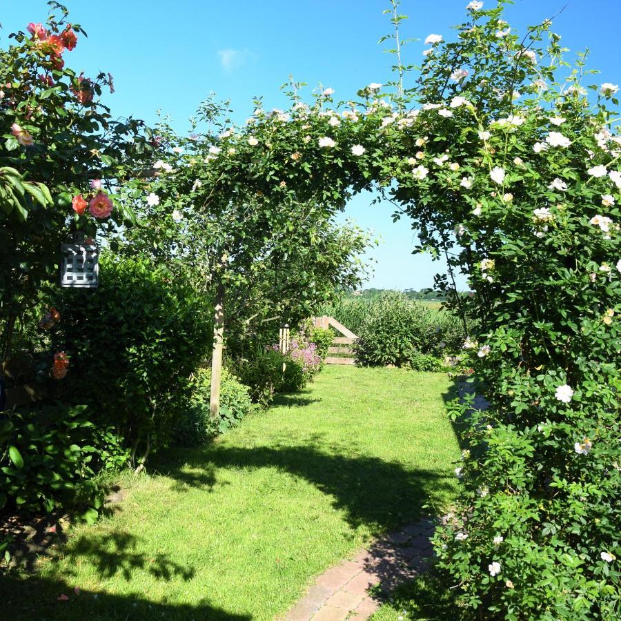 Wadden Eiland Bed En Breakfast Op Texel Oudeschild Ngoại thất bức ảnh